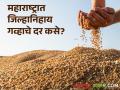 Gahu Market : महाराष्ट्रात कुठल्या जिल्ह्यात गव्हाला काय दर मिळतोय? वाचा सविस्तर  - Marathi News | latest news Gahu Market See price of wheat in few district of Maharashtra Read in detail | Latest agriculture News at Lokmat.com