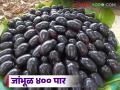 बहाडोली येण्या अगोदरच यंदा गावरान जांभळांनी खाल्ला भाव; वाचा प्रतिकिलो काय मिळतोय दर? - Marathi News | Even before the arrival of Bahadoli, the price of Gavran jambhal has gone up this year; Read what is the price per kg? | Latest agriculture News at Lokmat.com