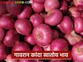 Kanda Bajar Bhav : अहिल्यानगरच्या या बाजार समितीत गावरान कांद्याचा दरात वाढ - Marathi News | Kanda Bajar Bhav : The price of village onion has increased in this market committee of Ahilyanagar. | Latest agriculture News at Lokmat.com