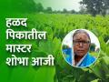 शोभा आजीची कमाल, हळद पिकात केली सोळा लाखाची उलाढाल - Marathi News | Shobha Aji's maximum turnover of sixteen lakhs in turmeric crop | Latest agriculture News at Lokmat.com