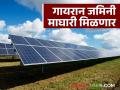 सौर प्रकल्पासाठी घेतलेल्या गायरान जमिनी पुन्हा ग्रामपंचायतीना मिळणार; काय आहे प्रकरण? वाचा सविस्तर - Marathi News | The uncultivated lands taken for solar projects will be returned to the Gram Panchayat; What is the matter? Read in detail | Latest agriculture News at Lokmat.com