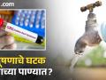 रसायनांचेच पाणी..! प्रदूषणाचे घटक पिण्याच्या पाण्यात? - Marathi News | | Latest pimpri-chinchwad News at Lokmat.com