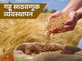 Gahu Sathavnuk : गव्हाची साठवणूक करताना 'या' गोष्टी लक्षात ठेवा, जाणून घ्या सविस्तर - Marathi News | Latest News gahu sathvanuk Keep these things in mind while storing wheat, know in detail | Latest agriculture News at Lokmat.com