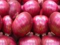 अडकलेले कांद्याचे १६२ कंटेनर परदेशात रवाना - Marathi News | 162 containers of stranded onions shipped abroad | Latest maharashtra News at Lokmat.com