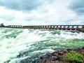 घोड धरण ९५ टक्के भरले - Marathi News | Horse dams are filled up to 95 percent | Latest pune News at Lokmat.com