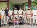घोरपडची शिकार करणारे तिघे गजाआड! - Marathi News | Three hunters arested at Akot | Latest akola News at Lokmat.com