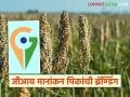Agriculture News : आता जीआय नामांकन प्राप्त पिकांच्या पॅकेजींग व ब्रँडींग होणार, वाचा सविस्तर  - Marathi News | Latest News Now packaging and branding of GI nominated crops will take place, read in detail | Latest agriculture News at Lokmat.com