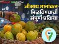 GI Tag : जीआय मानांकन मिळविण्याची प्रक्रिया काय आहे? ते कसं मिळतं? वाचा सविस्तर  - Marathi News | Latest News What is the process for obtaining a GI tag ? Read in detail | Latest agriculture News at Lokmat.com