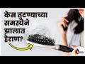 केसांचा गुंता सोडविण्यासाठी काही सोप्या टिप्स | Mistakes to Avoid to Stop Hair Breakage - Marathi News | A few simple tips to get rid of hair tangles Mistakes to Avoid to Stop Hair Breakage | Latest oxygen Videos at Lokmat.com