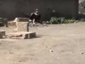 मुंबईतल्या रे रोडमध्ये गिधाड दिसल्यानं उडाली खळबळ - Marathi News | Vandalism in Mumbai's Rai Road | Latest mumbai Videos at Lokmat.com