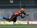 SRH vs KKR Latest News : प्रियम गर्गची स्टनिंग डाईव्ह; KKRचा सेट फलंदाज माघारी, Video - Marathi News | SRH vs KKR Latest News : A brilliant catch by Priyam Garg off Rashid Khan's bowling sees the back of Shubman Gill, Video | Latest cricket News at Lokmat.com