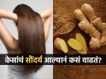 केस गळतात, केसात कोंडा होतो? आल्याची 'या' खास ट्रिक कराल तर विसराल महागडे प्रोडक्ट... - Marathi News | How to use ginger to stop hairfall and dandruff | Latest sakhi News at Lokmat.com