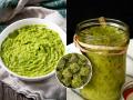 महिनाभर टिकेल आलंमिरची पेस्ट, ४ युक्त्या-पेस्टला ना बुरशी लागेल ना काळी पडेल, चवही राहील झणझणीत - Marathi News | how to store ginger green chilli paste for a month tips to prevent fungus in homemade paste how to stop ginger paste from turning black best way to preserve ginger chilli paste naturally | Latest sakhi Photos at Lokmat.com
