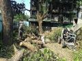 कर्जत तालुक्यातील नेरळच्या खांडा भागात झाडांवर कुऱ्हाड - Marathi News | The ax on the tree in the Khanda area of in Karjat taluka | Latest raigad News at Lokmat.com