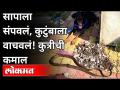 सापाला संपवलं, कुटुंबाला वाचवलं! कुत्रीची कमाल | Snake Found In Family At Kalyan | Maharashtra News - Marathi News | Killed the snake, saved the family! The dog's max | Snake Found In Family At Kalyan | Maharashtra News | Latest maharashtra Videos at Lokmat.com