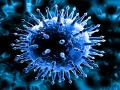 CoronaVirus विरार नालासोपाऱ्याची चिंता वाढली; पालिका हद्दीत 11 कोरोना पॉझिटिव्ह - Marathi News | CoronaVirus Virar Nalasopara's 11 corona positive in municipal limits | Latest vasai-virar News at Lokmat.com
