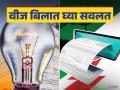 वीज बिलासाठी हे पर्याय निवडाल तर बिलात मिळेल १० रुपयांची सवलत; वाचा सविस्तर - Marathi News | If you choose this option for your electricity bill, you will get a discount of Rs 10 on your bill; Read in detail | Latest agriculture News at Lokmat.com
