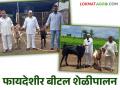 Goat Farming : फायद्याचा शेळीपालन व्यवसाय आठ महिन्यांची शेळी ४१ हजाराला विकली - Marathi News | Goat Farming : Profitable Goat Farming business eight month old goat sold for 41 thousand | Latest agriculture News at Lokmat.com