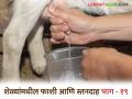 Goat Farming Disease :  'हा' आजार झाल्यास शेळी गेलीच म्हणून समजा, जाणून घ्या या आजाराबद्दल...  - Marathi News | Goat Farming Disease Hanging and mastitis theseTwo serious diseases in goats know about this disease... | Latest agriculture News at Lokmat.com