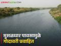 Godavari River २००७ नंतर पहिल्यांदाच पावसाळ्याच्या सुरुवातीला प्रवाहित झाली गोदावरी नदी - Marathi News | For the first time since 2007, the Godavari river has flowed at the beginning of monsoon | Latest agriculture News at Lokmat.com