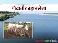 Marathwada are waiting for rain : मराठवाड्यासह पश्चिम व उत्तर महाराष्ट्राला पावसाची प्रतीक्षा  - Marathi News | West and North Maharashtra including Marathwada are waiting for rain  | Latest agriculture News at Lokmat.com