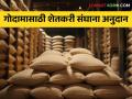 Agriculture News : गोदाम बांधकामासाठी शेतकरी संघांना इतके अनुदान, जाणून घ्या सविस्तर  - Marathi News | Latest News 50 percent subsidy to farmers' unions for construction of godowns | Latest agriculture News at Lokmat.com