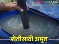 गो कृपा अमृतम् बनवा घराच्या घरी... बनविण्याची सोपी पद्धत - Marathi News | Make Go Kripa Amritam at home...easy way to make it | Latest agriculture News at Lokmat.com