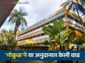 Gokul Dudh: जिल्ह्यातील प्राथमिक दूध संस्थांच्या बळकटीसाठी 'गोकुळ'ने घेतला हा मोठा निर्णय - Marathi News | Gokul Dudh: This big decision was taken by 'Gokul' to strengthen primary milk organization in the district | Latest agriculture News at Lokmat.com