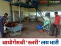 बायोगॅसमधून बाहेर पडणाऱ्या स्लरीचं केलं सोनं, 'गोकुळ'चा अफलातून प्रयोग; वाचा सविस्तर - Marathi News | The slurry coming out of biogas making different biofertilizer, 'Gokul' Milk Successful experiment; Read in detail | Latest agriculture News at Lokmat.com