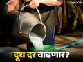 राज्यातील 'हा' दूध संघ वसुबारसनिमित्त दिवाळी भेट देणार? दूध दरात वाढ होण्याची शक्यता - Marathi News | 'This' milk association in the state will give a Diwali gift on the occasion of Vasubaras; Milk prices likely to increase | Latest agriculture News at Lokmat.com