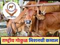 Rashtriya Gokul Mission : राष्ट्रीय गोकुळ मिशनची किमया, दहा वर्षात 'इतके' दूध उत्पादन वाढलं, वाचा सविस्तर  - Marathi News | Latest News National Gokul Mission has increased milk production in ten years, read in detail | Latest agriculture News at Lokmat.com