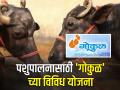 परराज्यातील म्हैस खरेदीसाठी 'गोकुळ'चे ४० हजार अनुदान - Marathi News | 40 thousand subsidy of 'Gokul' for purchase of buffalo from other state | Latest agriculture News at Lokmat.com