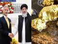 सोन्याच्या खाणीत गुंतवणूक करा, 5 वर्षांची कर सूट मिळवा; अफगाणिस्तानची भारताला मोठी ऑफर - Marathi News | India-Afghanistan Trade: Invest in gold mines, get 5-year tax exemption; Afghanistan's big offer to India | Latest business News at Lokmat.com