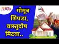 गोमूत्र शिंपडा, वास्तुदोष मिटवा | Lokmat Bhakti - Marathi News | Sprinkle cow urine, erase vastudosha Lokmat Bhakti | Latest bhakti Videos at Lokmat.com
