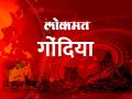 साहेब, वाळू चोरीला जबाबदार कोण? - Marathi News | Sir, who is responsible for sand theft? | Latest gondia News at Lokmat.com