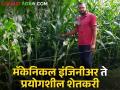 Success Story : मॅकेनिकल इंजिनीअर झाला प्रयोगशील शेतकरी, फुलविली मक्याची शेती - Marathi News | latest News mechanical engineer became an experimental farmer of gondiya district | Latest agriculture News at Lokmat.com