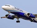 इंडिगोचा सर्व्हर डाऊन; सर्व विमानतळांवर प्रवासी रखडले - Marathi News | Indigo server down; All airline passengers stuck at airports | Latest national News at Lokmat.com