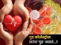 गुड कोलेस्ट्रॉल खरंच 'गुड' असतं? हृदयाच्या आरोग्यावर होतो असा परिणाम; जाणून घ्या काय म्हणतात डॉक्टर - Marathi News | Is good cholesterol really good for our health know about the effects on heart health | Latest health Photos at Lokmat.com