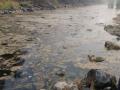 नागपुरातील गोरेवाडा तलावात नाल्याचे दूषित पाणी - Marathi News | Infectious water in the Gorevada lake in Nagpur | Latest nagpur News at Lokmat.com