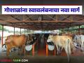 Goshala : गोसेवा आयोगासाठी १२२ कोटींची तरतूद; गोशाळांना स्वावलंबनाचा नवा मार्ग - Marathi News | latest news Goshala: Provision of Rs 122 crores for Goseva Aayog; New path for self-reliance for Goshalas | Latest agriculture News at Lokmat.com