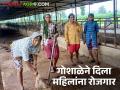गायींचं संगोपन, महिलांना रोजगार, उत्पादनांची विक्री, भंडाऱ्याची उपक्रमशील गोशाळा  - Marathi News | Latest News Cow rearing, employment for women, sale of products, Bhandara's entrepreneurial cow shelter | Latest agriculture News at Lokmat.com