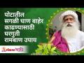 पोटातील सगळी घाण बाहेर काढण्यासाठी घरगुती रामबाण उपाय | Home Remedies for Stomach Problem | Sadhguru - Marathi News | Home Remedies To Get Rid Of Stomach Dirt | Home Remedies for Stomach Problem | Sadhguru | Latest bhakti Videos at Lokmat.com