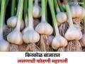 Garlic Market : ऐन सणासुदीच्या काळात किरकोळ बाजारात लसणाने गाठला कळस; वाचा सविस्तर - Marathi News | Garlic Market : During the festive season, garlic reached its peak in the retail market; Read in detail | Latest agriculture News at Lokmat.com
