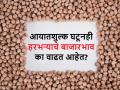 ऐन मतदानाच्या तोंडावर हरभऱ्याच्या किंमती का वाढत आहेत? भविष्यात कसे असतील बाजारभाव - Marathi News | Why are the prices of gram chana are increasing after zero import duty? know the future chana prices | Latest agriculture News at Lokmat.com
