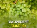 द्राक्ष निर्यातीचा शुभारंभ; पहिला कंटेनर रशियाला रवाना - Marathi News | Start grape export; First container left for Russia | Latest agriculture News at Lokmat.com