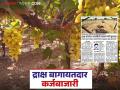 Draksha Bag : चार हजार कोटींचा द्राक्ष इंडस्ट्री धोक्यात; ३० हजार एकर द्राक्षबागांवर कुऱ्हाड - Marathi News | Draksha Bag : Four thousand crore grape industry in trouble; 30 thousand acres of grape orchard in major problem | Latest agriculture News at Lokmat.com