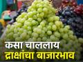 गुलटेकडी मार्केटला साडेचार टन द्राक्षांची आवक; कसा मिळतोय भाव - Marathi News | Four and a half tons of grapes arrived at Gultekdi market; How is the market price? | Latest agriculture News at Lokmat.com