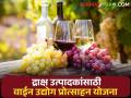 द्राक्ष उत्पादक शेतकऱ्यांसाठी वाईन उद्योगास प्रोत्साहन, सरकारकडून महत्वपूर्ण निर्णय  - Marathi News | Latest News Approval for disbursement of funds under incentive scheme for wine industry | Latest agriculture News at Lokmat.com