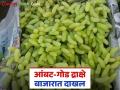 Grapes Market : उन्हाळ्यापूर्वी बाजारात द्राक्षे दाखल; पाहा काय आहेत यंदा भाव वाचा सविस्तर - Marathi News | Grapes Market: Grapes arrive in the market before summer; See what the prices are this year, read in detail | Latest agriculture News at Lokmat.com