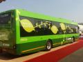 नागपुरात तीन महिन्यासाठी ग्रीन बसचा प्रवास स्वस्त - Marathi News | Green bus journeys in Nagpur for three months is cheap | Latest nagpur News at Lokmat.com